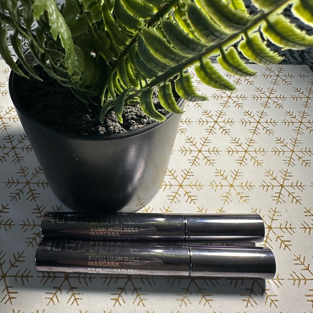 Black Planter with Green Fern
